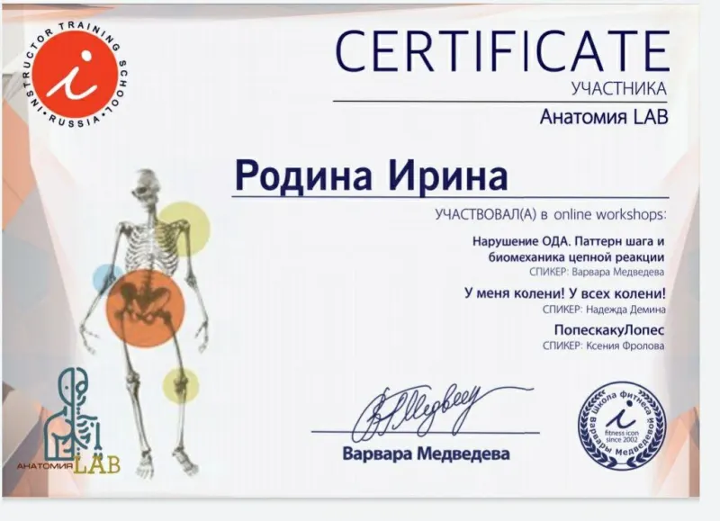Сертификат: Анатомия LAB